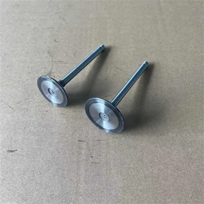 product-400-400 192F 14HP Intake Exhaust Valve